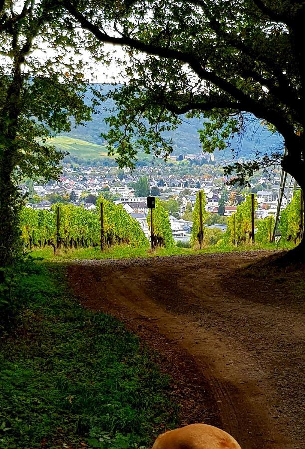 Ahrweiler Seelchen Bad Neuenahr-Ahrweiler Exterior photo
